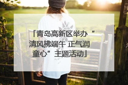 青岛高新区举办“清风拂端午 正气润童心”主题活动