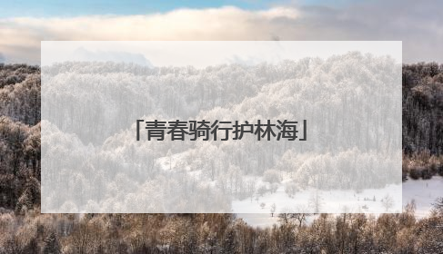 青春骑行护林海