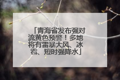 青海省发布强对流黄色预警！多地将有雷暴大风、冰雹、短时强降水