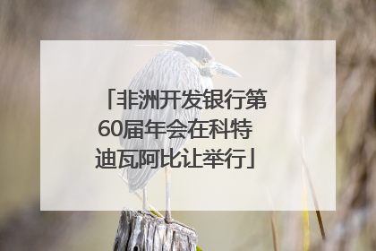 非洲开发银行第60届年会在科特迪瓦阿比让举行