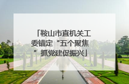 鞍山市直机关工委锚定“五个聚焦”抓党建促振兴