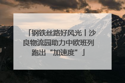 钢铁丝路好风光丨沙良物流园助力中欧班列跑出“加速度”