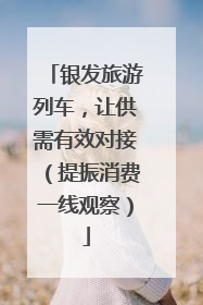 银发旅游列车，让供需有效对接（提振消费一线观察）