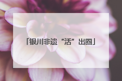 银川非遗“活”出圈