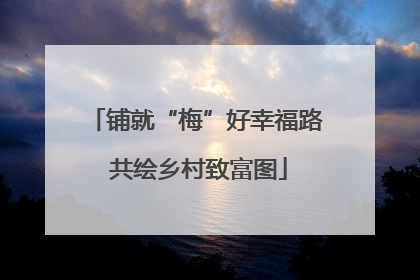 铺就“梅”好幸福路 共绘乡村致富图