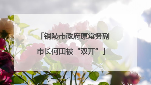 铜陵市政府原常务副市长何田被“双开”