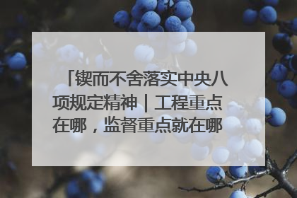 锲而不舍落实中央八项规定精神｜工程重点在哪，监督重点就在哪——广西深化政治监督护航平陆运河建设