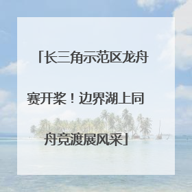 长三角示范区龙舟赛开桨！边界湖上同舟竞渡展风采