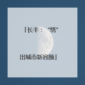 长丰：“绣”出城市新容颜
