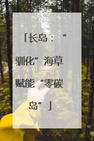长岛：“驯化”海草赋能“零碳岛”