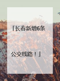 长春新增6条公交线路！