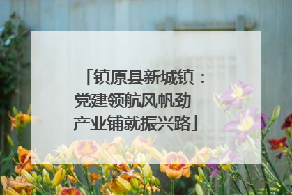 镇原县新城镇：党建领航风帆劲 产业铺就振兴路