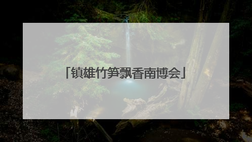 镇雄竹笋飘香南博会