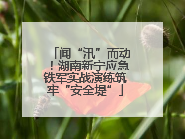 闻“汛”而动！湖南新宁应急铁军实战演练筑牢“安全堤”
