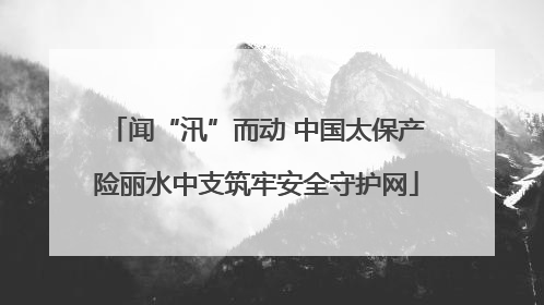 闻“汛”而动 中国太保产险丽水中支筑牢安全守护网