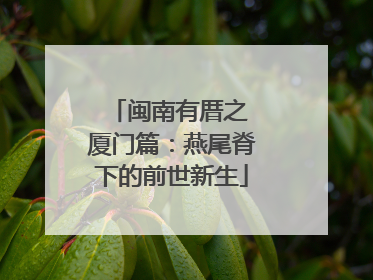 闽南有厝之 厦门篇：燕尾脊下的前世新生
