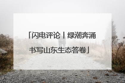 闪电评论丨绿潮奔涌 书写山东生态答卷