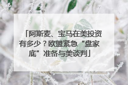 阿斯麦、宝马在美投资有多少？欧盟紧急“盘家底”准备与美谈判