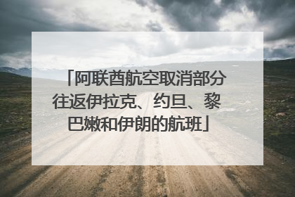 阿联酋航空取消部分往返伊拉克、约旦、黎巴嫩和伊朗的航班