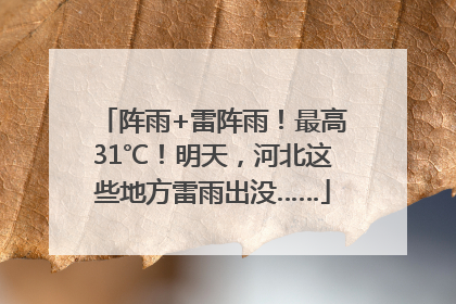 阵雨+雷阵雨！最高31℃！明天，河北这些地方雷雨出没……