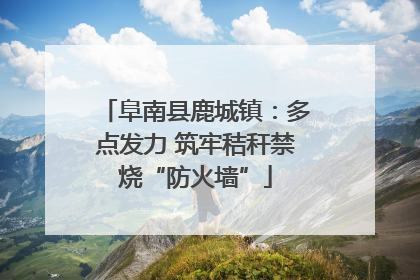 阜南县鹿城镇：多点发力 筑牢秸秆禁烧“防火墙”