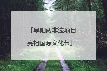 阜阳两非遗项目亮相国际文化节