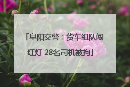 阜阳交警：货车组队闯红灯 28名司机被拘