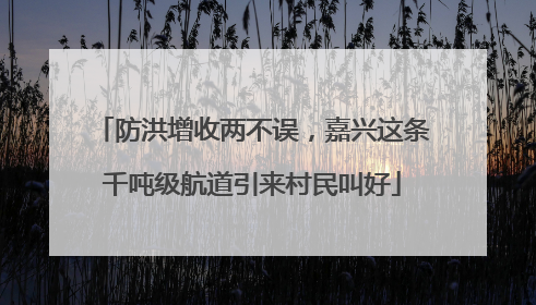 防洪增收两不误，嘉兴这条千吨级航道引来村民叫好