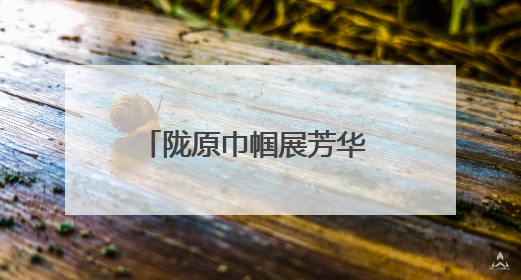 陇原巾帼展芳华 科技赋能促发展