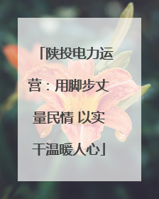 陕投电力运营：用脚步丈量民情 以实干温暖人心