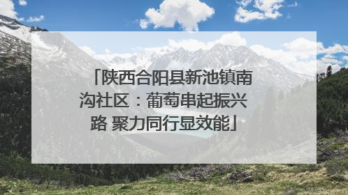陕西合阳县新池镇南沟社区：葡萄串起振兴路 聚力同行显效能