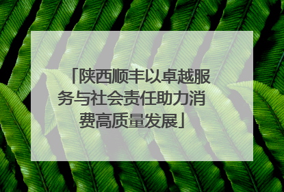陕西顺丰以卓越服务与社会责任助力消费高质量发展