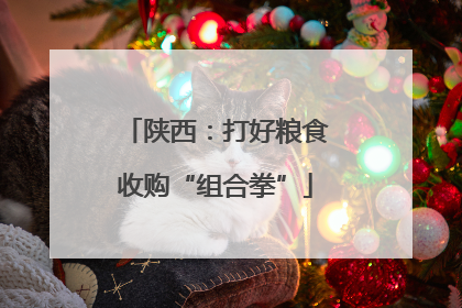 陕西：打好粮食收购“组合拳”
