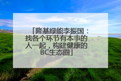 隆基绿能李振国：找各个环节有本事的人一起，构建健康的BC生态圈