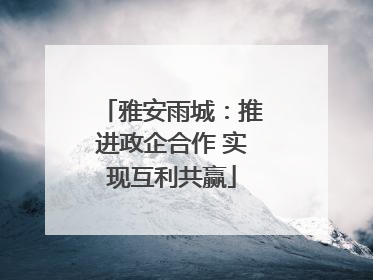 雅安雨城：推进政企合作 实现互利共赢