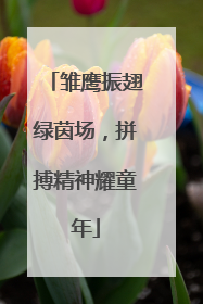 雏鹰振翅绿茵场，拼搏精神耀童年