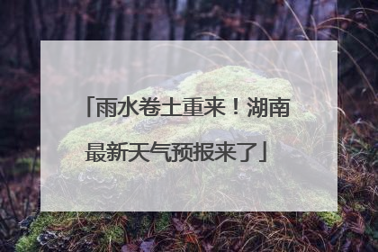 雨水卷土重来！湖南最新天气预报来了