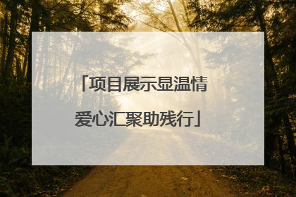 项目展示显温情 爱心汇聚助残行