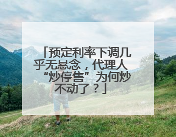 预定利率下调几乎无悬念，代理人“炒停售”为何炒不动了？