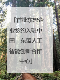 首批东盟企业签约入驻中国—东盟人工智能创新合作中心
