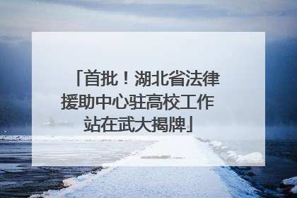 首批！湖北省法律援助中心驻高校工作站在武大揭牌