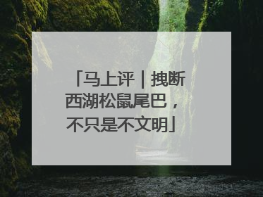 马上评｜拽断西湖松鼠尾巴，不只是不文明