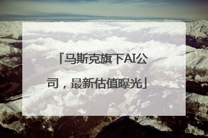 马斯克旗下AI公司，最新估值曝光