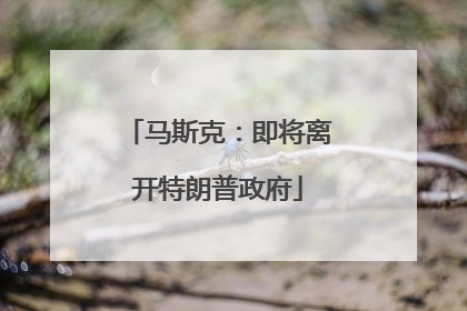 马斯克：即将离开特朗普政府