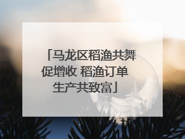 马龙区稻渔共舞促增收 稻渔订单生产共致富