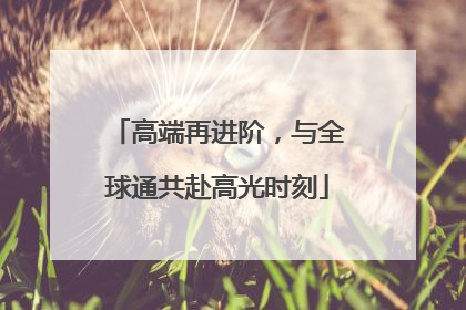 高端再进阶，与全球通共赴高光时刻
