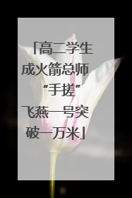 高二学生成火箭总师 “手搓”飞燕一号突破一万米