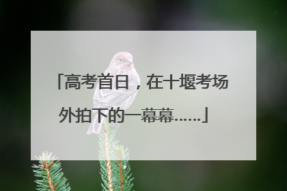 高考首日，在十堰考场外拍下的一幕幕……