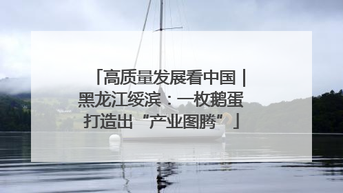 高质量发展看中国｜黑龙江绥滨：一枚鹅蛋打造出“产业图腾”