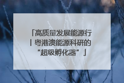 高质量发展能源行丨粤港澳能源科研的“超级孵化器”